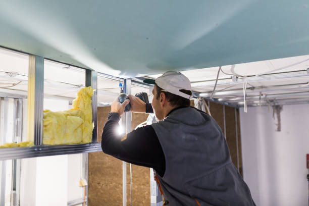 Types of Insulation We Offer in Edgewater, MD