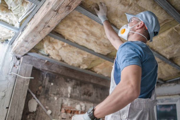 Best Fiberglass Insulation in Edgewater, MD