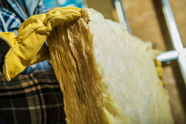 Trusted Edgewater, MD Insulation Contractor Experts