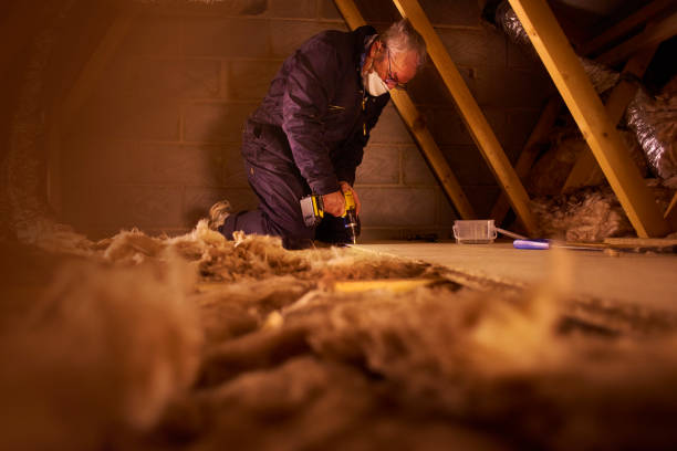 Best DIY Insulation Kits and Guidance in Edgewater, MD
